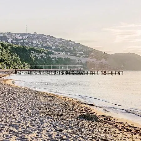 Orhidea فندق البينا