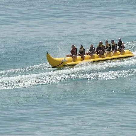 Orhidea البينا