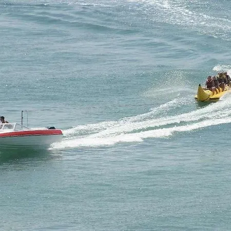 Orhidea البينا