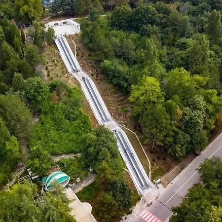 орхидея Отель 3*