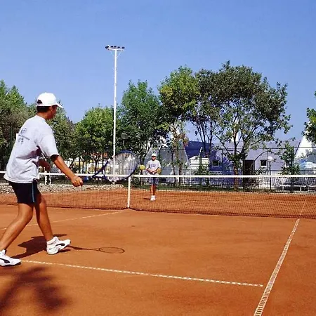 Orhidea البينا