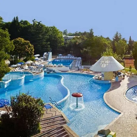 Orhidea البينا