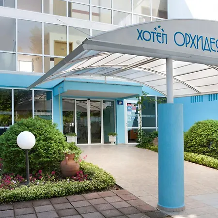 Orhidea فندق